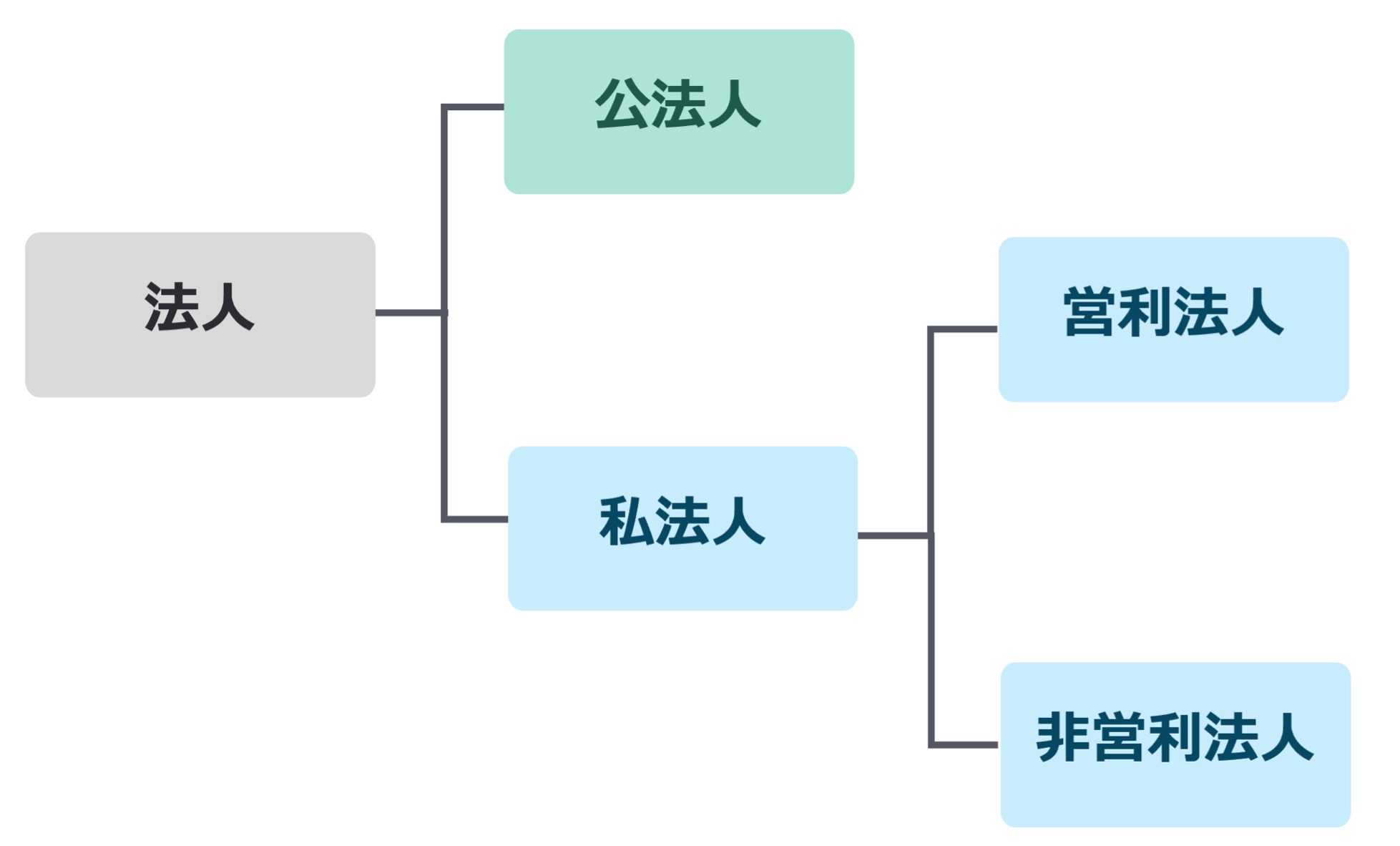 法人とは?個人事業主との違い・種類・具体例などを分かりやすく解説!